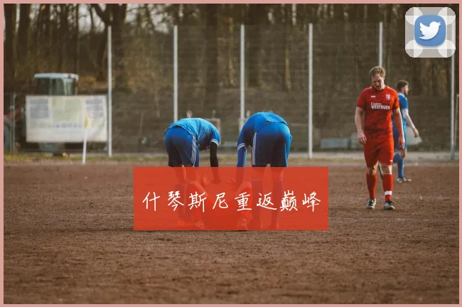 什琴斯尼重返巅峰