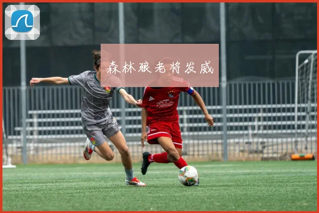 森林狼老将发威