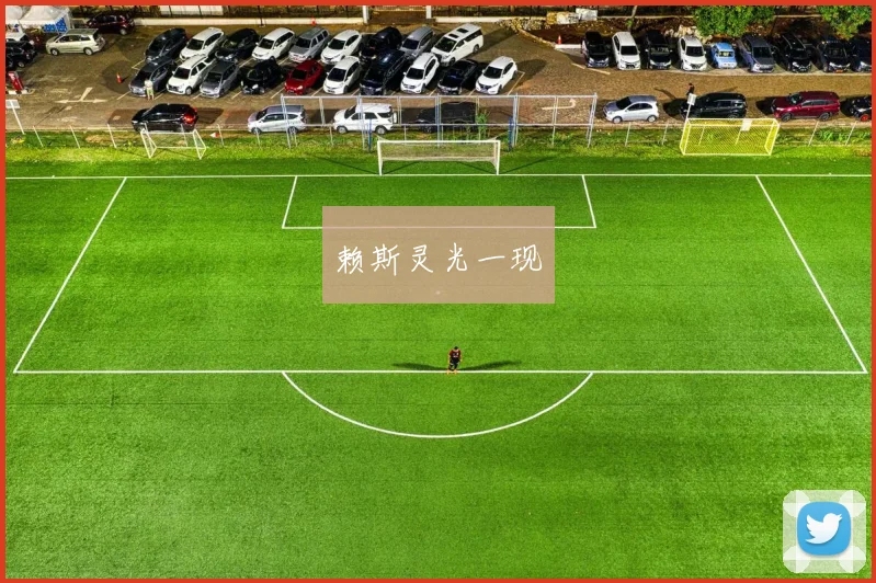 赖斯灵光一现