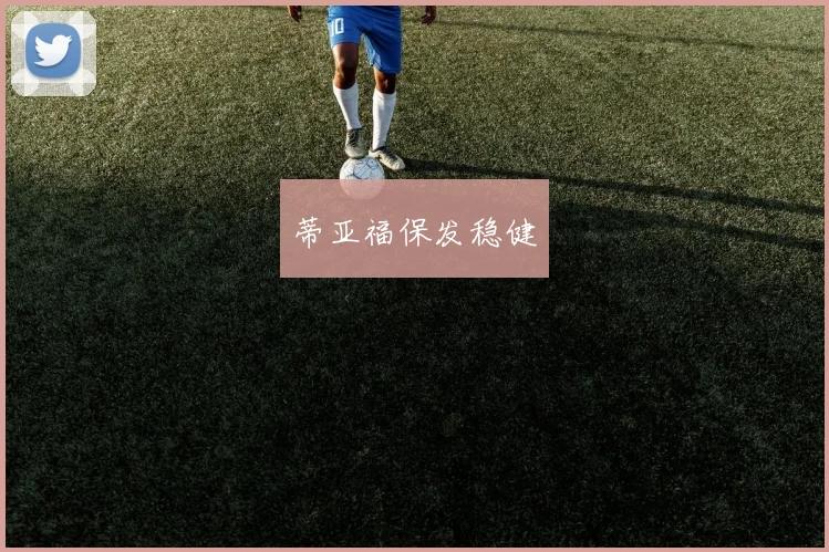 蒂亚福保发稳健