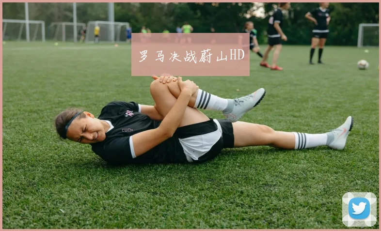 罗马决战蔚山HD