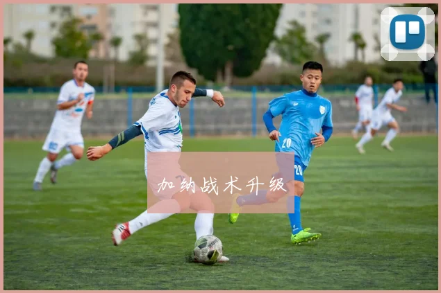 加纳战术升级