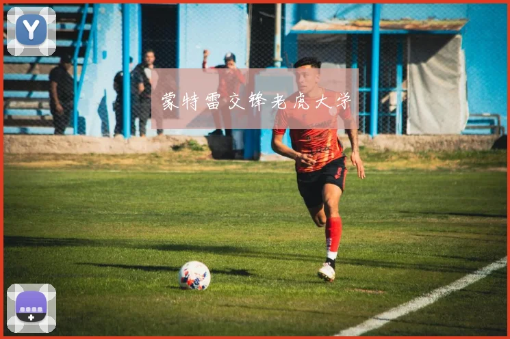 蒙特雷交锋老虎大学
