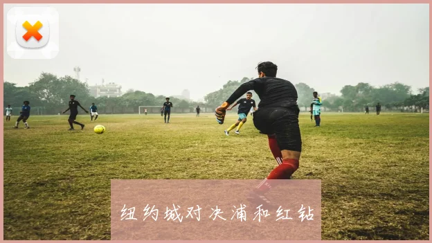 纽约城对决浦和红钻