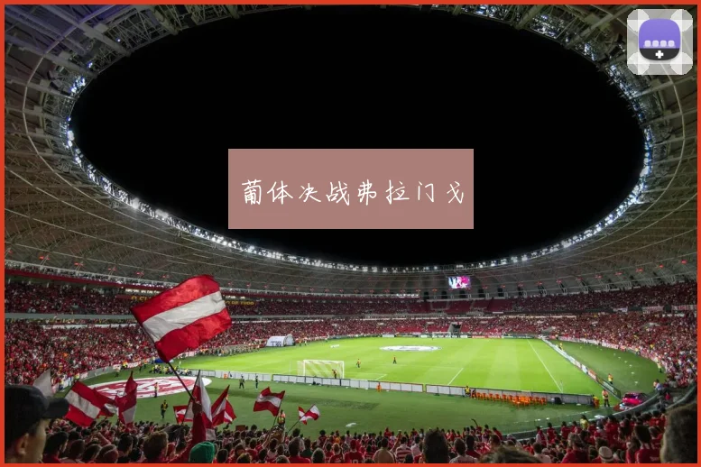 葡体决战弗拉门戈