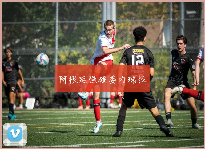 阿根廷强碰委内瑞拉