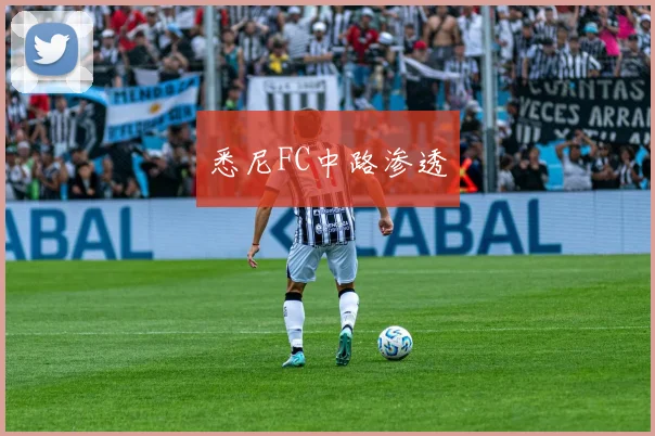 悉尼FC中路渗透