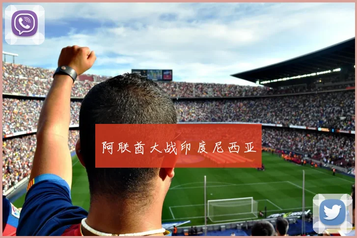 阿联酋大战印度尼西亚