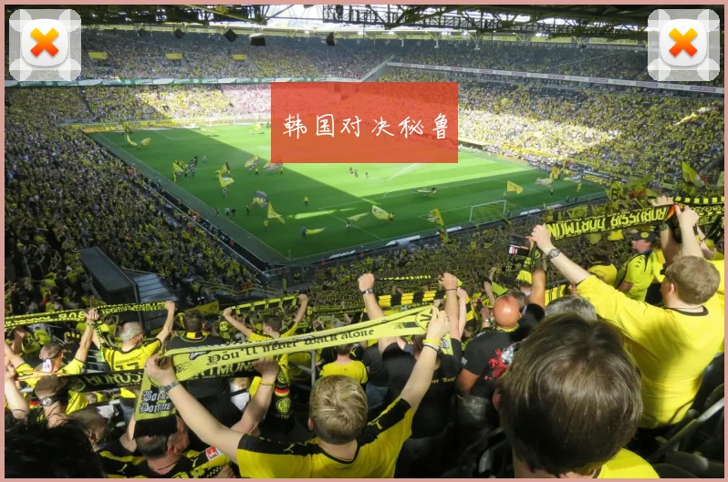 韩国对决秘鲁