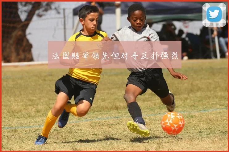 法国赔率领先但对手反扑强烈
