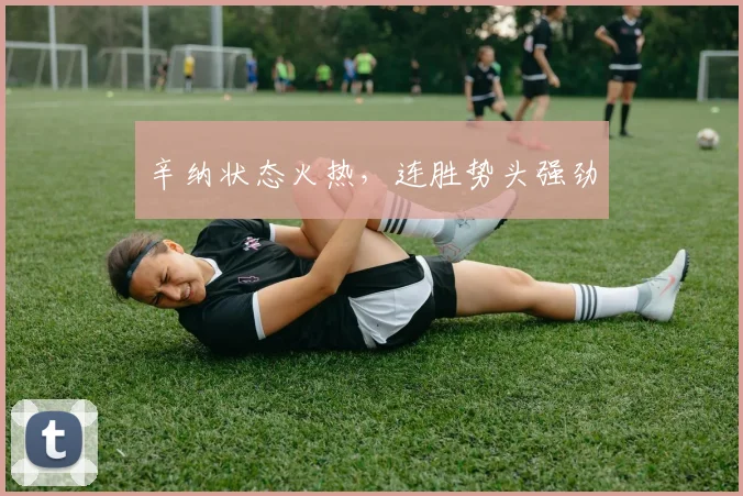 辛纳状态火热，连胜势头强劲