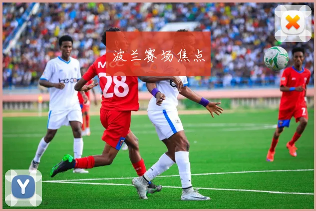 波兰赛场焦点