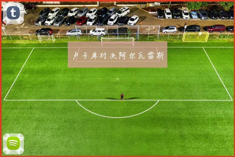 卢卡库对决阿尔瓦雷斯