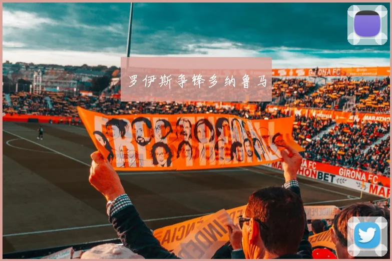 罗伊斯争锋多纳鲁马