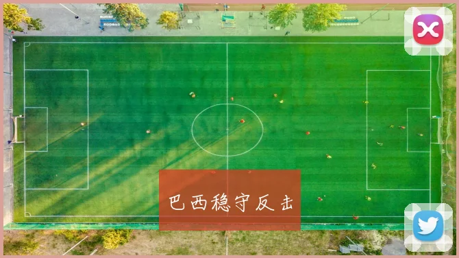巴西稳守反击