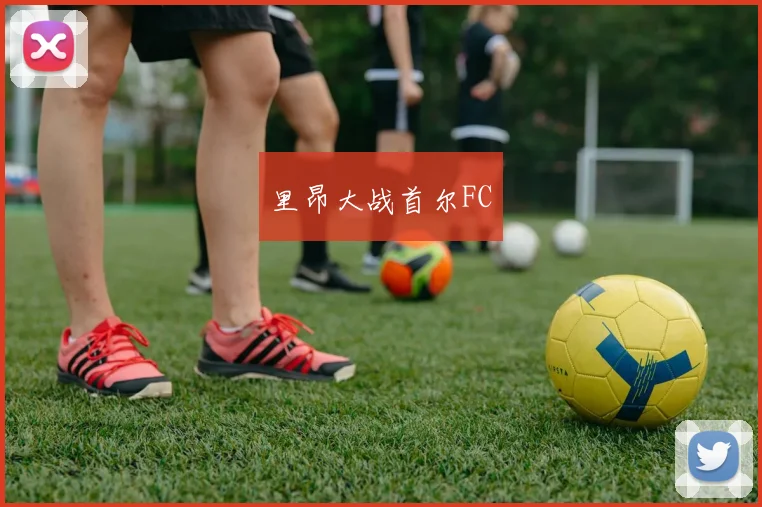 里昂大战首尔FC