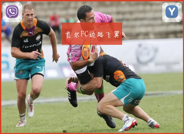 首尔FC边路飞翼