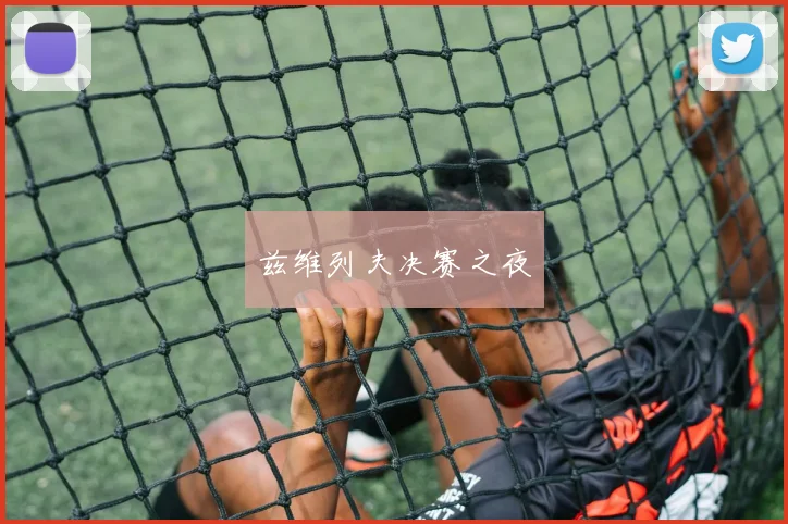 兹维列夫决赛之夜