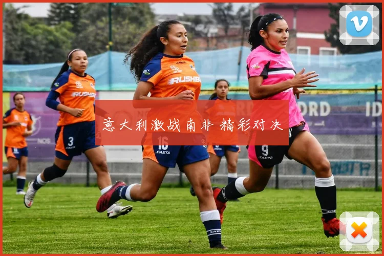 意大利激战南非 精彩对决