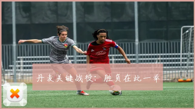丹麦关键战役：胜负在此一举
