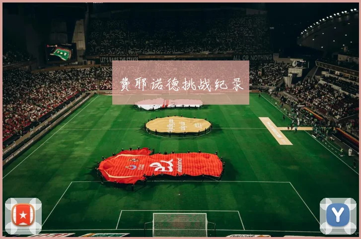 费耶诺德挑战纪录