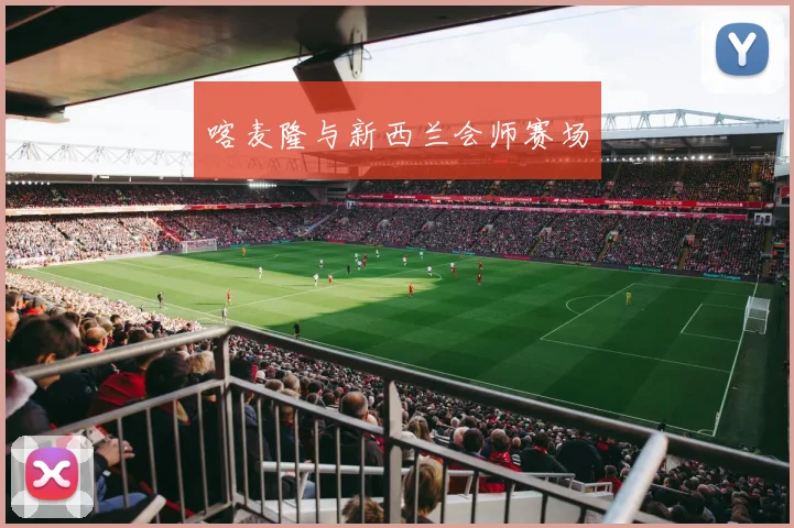 喀麦隆与新西兰会师赛场