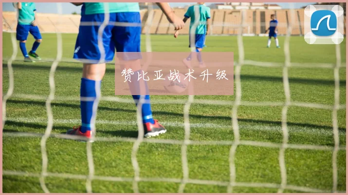 赞比亚战术升级