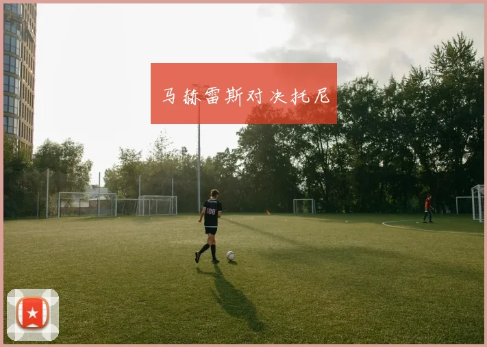 马赫雷斯对决托尼