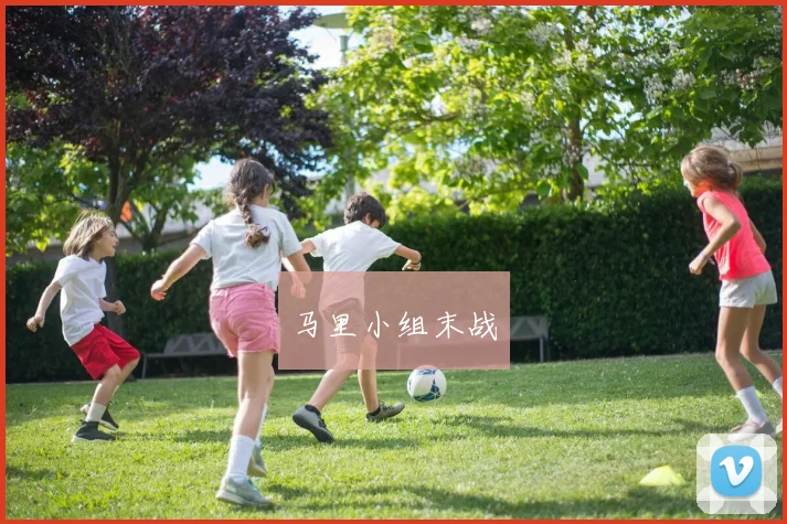 马里小组末战