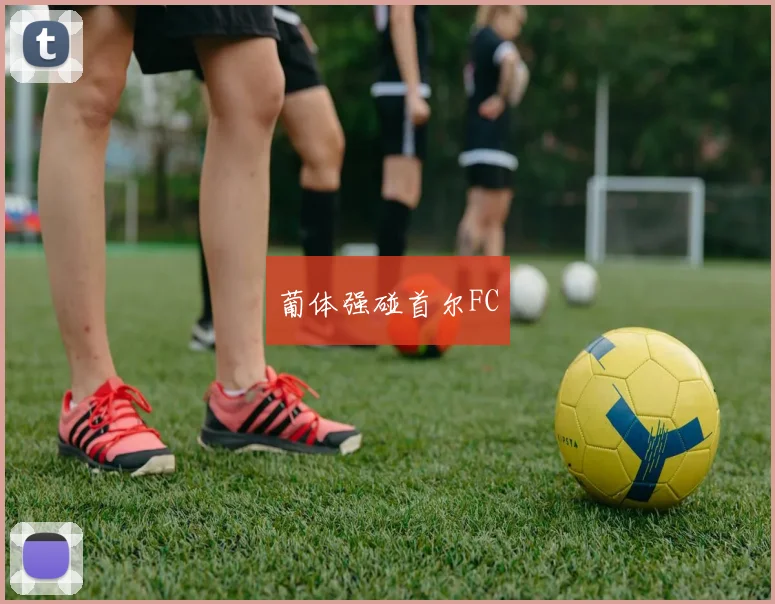 葡体强碰首尔FC