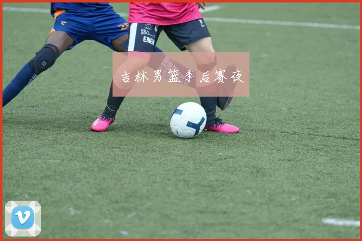 吉林男篮季后赛夜
