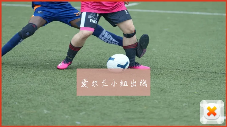 爱尔兰小组出线
