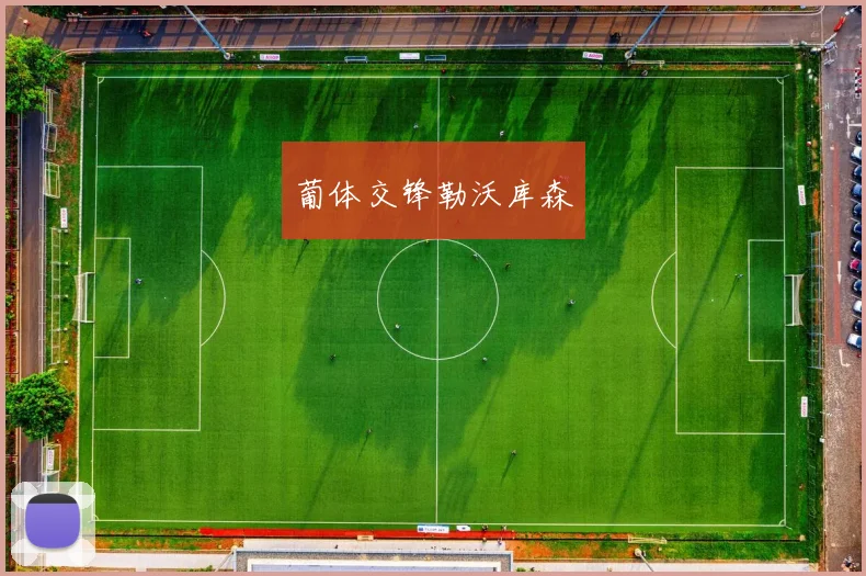 葡体交锋勒沃库森