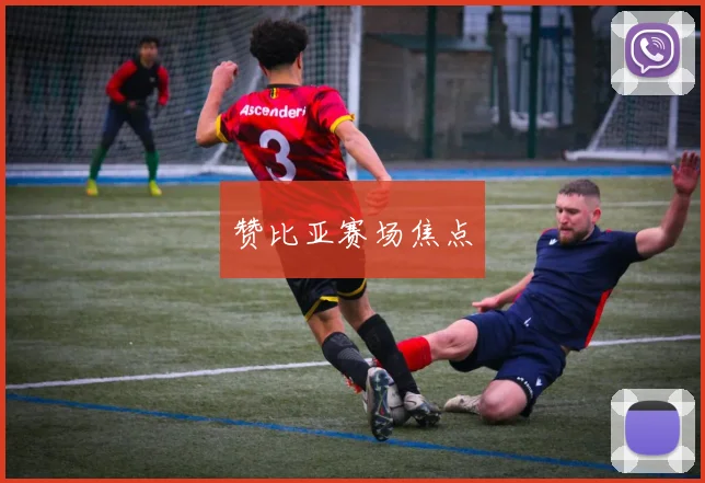 赞比亚赛场焦点