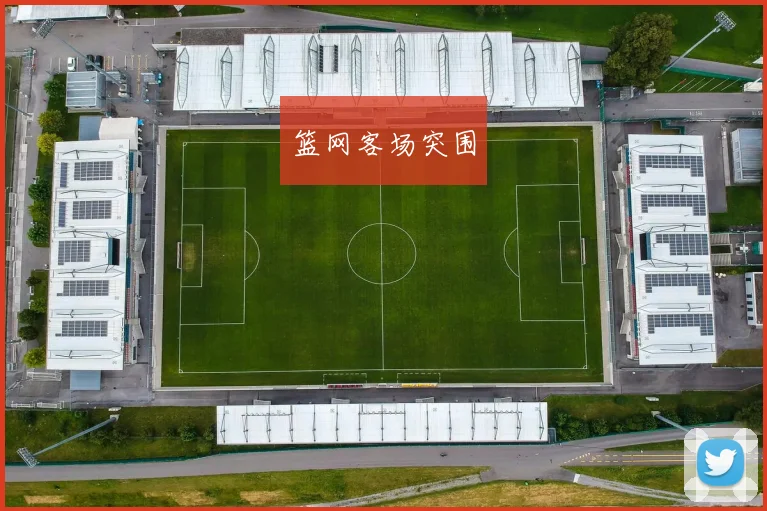 篮网客场突围