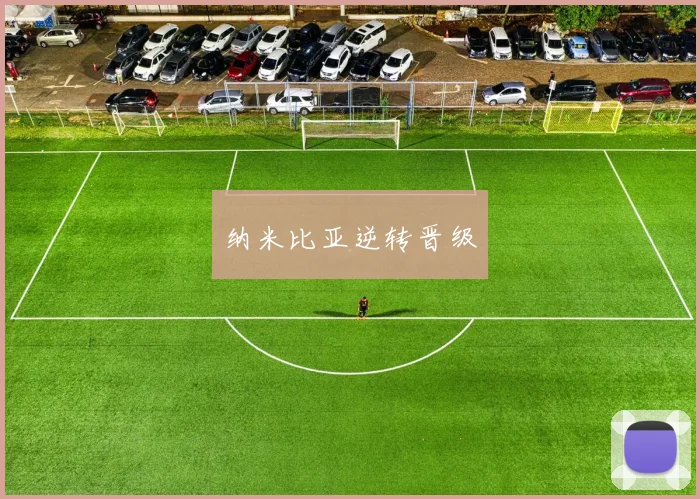 纳米比亚逆转晋级