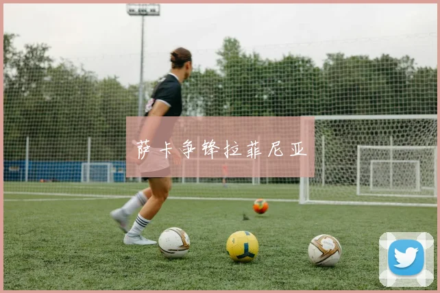 萨卡争锋拉菲尼亚