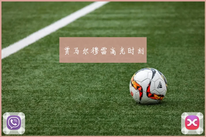 贾马尔穆雷高光时刻