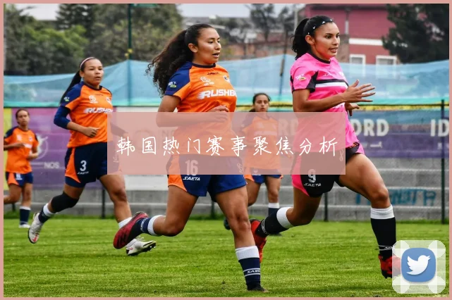 韩国热门赛事聚焦分析