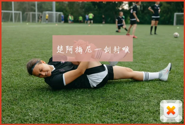 楚阿梅尼一剑封喉