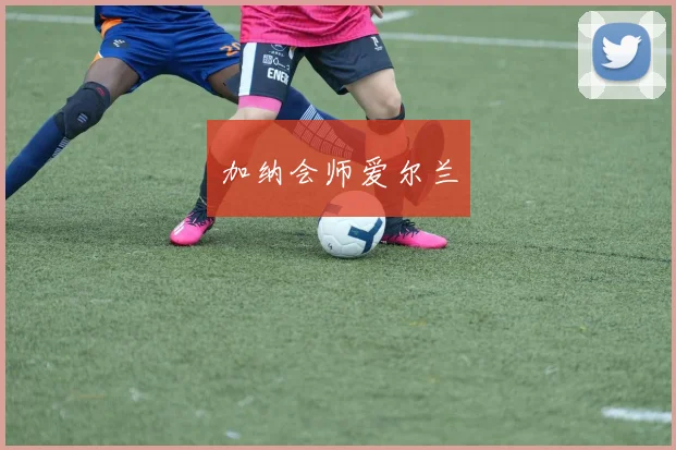 加纳会师爱尔兰