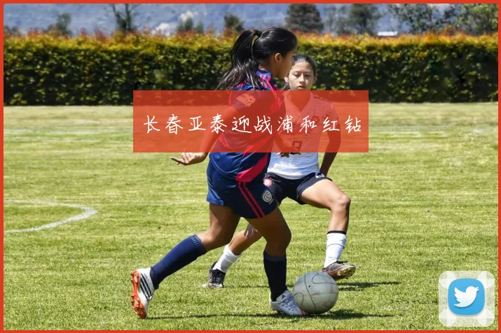 长春亚泰迎战浦和红钻