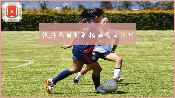 张帅网前制胜精准得分技巧