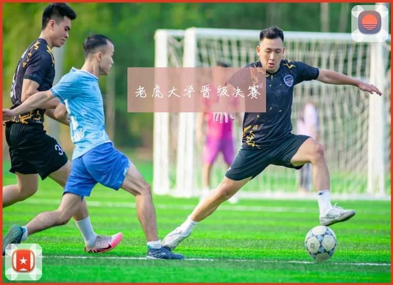 老虎大学晋级决赛