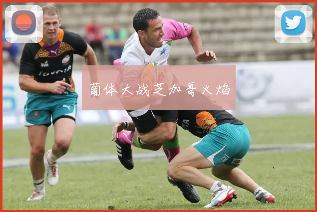 葡体大战芝加哥火焰