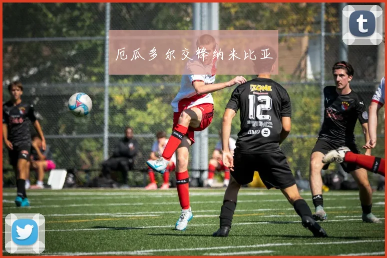 厄瓜多尔交锋纳米比亚