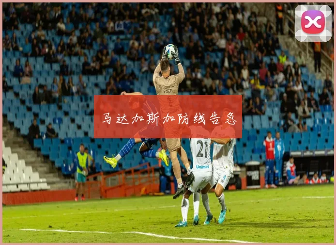 马达加斯加防线告急