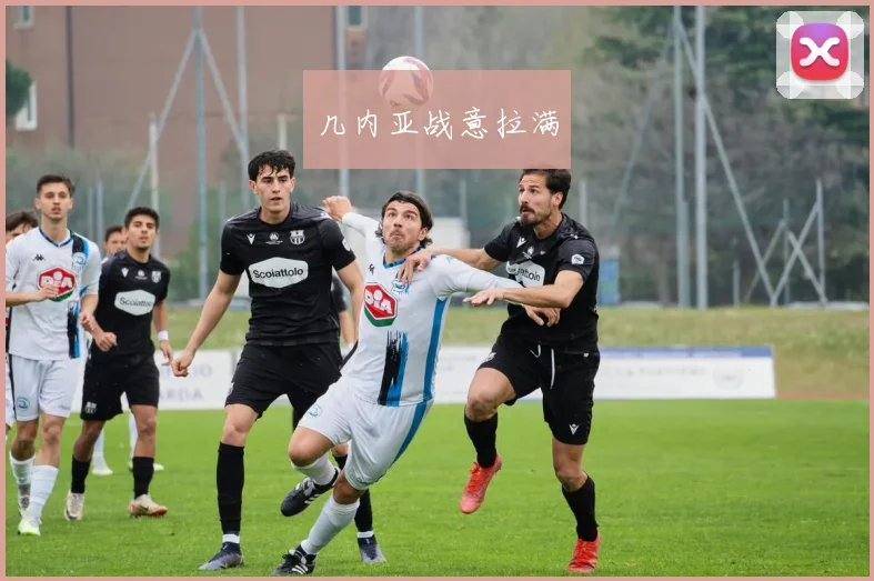 几内亚战意拉满