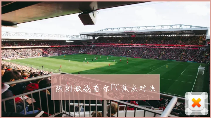 热刺激战首尔FC焦点对决