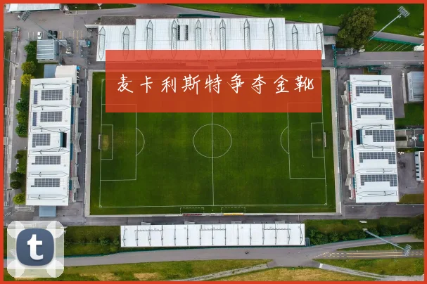 麦卡利斯特争夺金靴